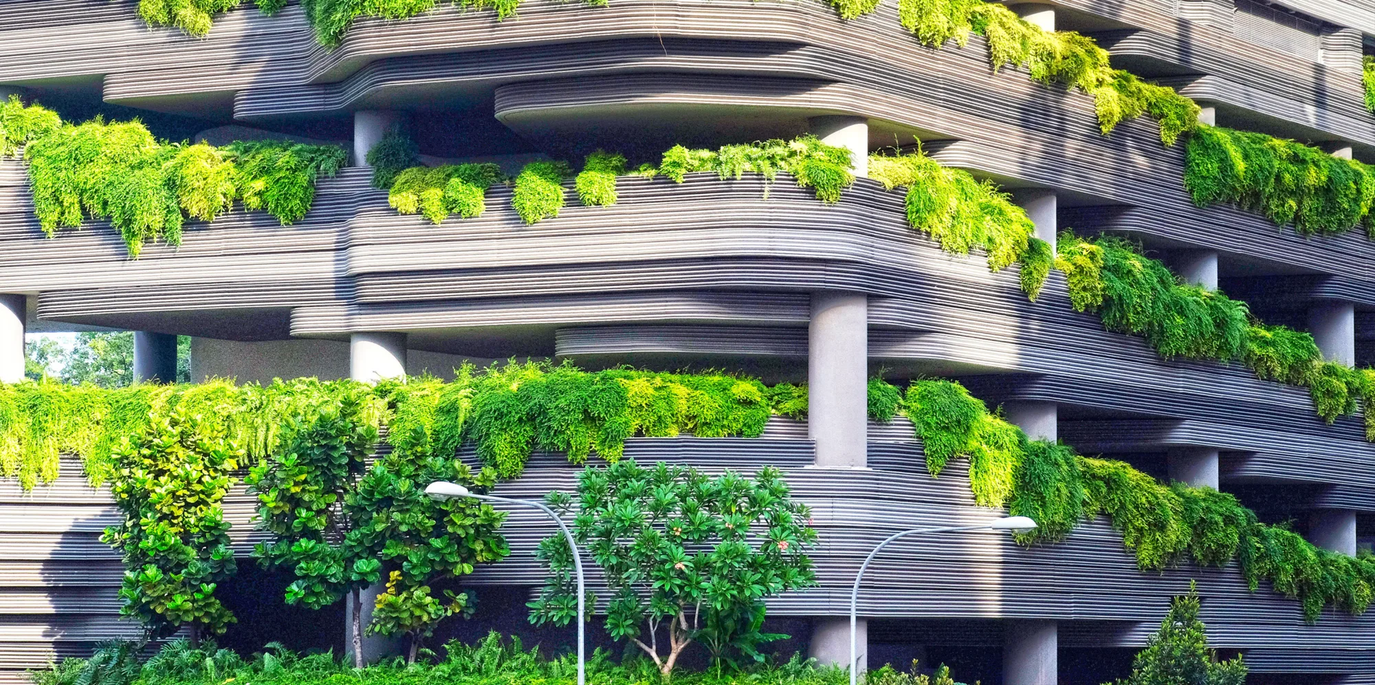 Yapı ve Enerjiyi Birlikte Düşünmek: Net-Sıfır Binalara Giden Yol